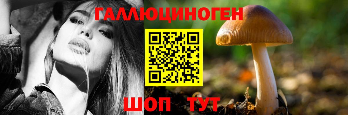 Тихорецк  дарнет шоп  Галлюциногенные грибы Psilocybine cubensis  Вход с VPN  Псилоцибиновые грибы мицелий 